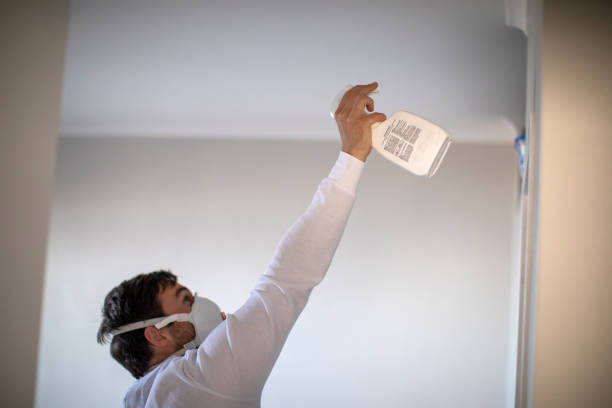 Best Post-Flood Mold Remediation in North Port, FL